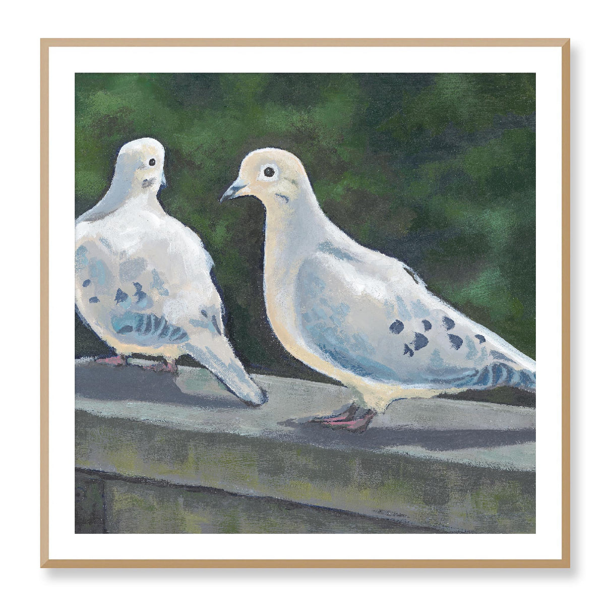 Mourning Doves Fine Art Print | 102 x 102 cm / 40 x 40 inches | White Frame