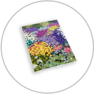 Fine Art Acrylic Note Cards