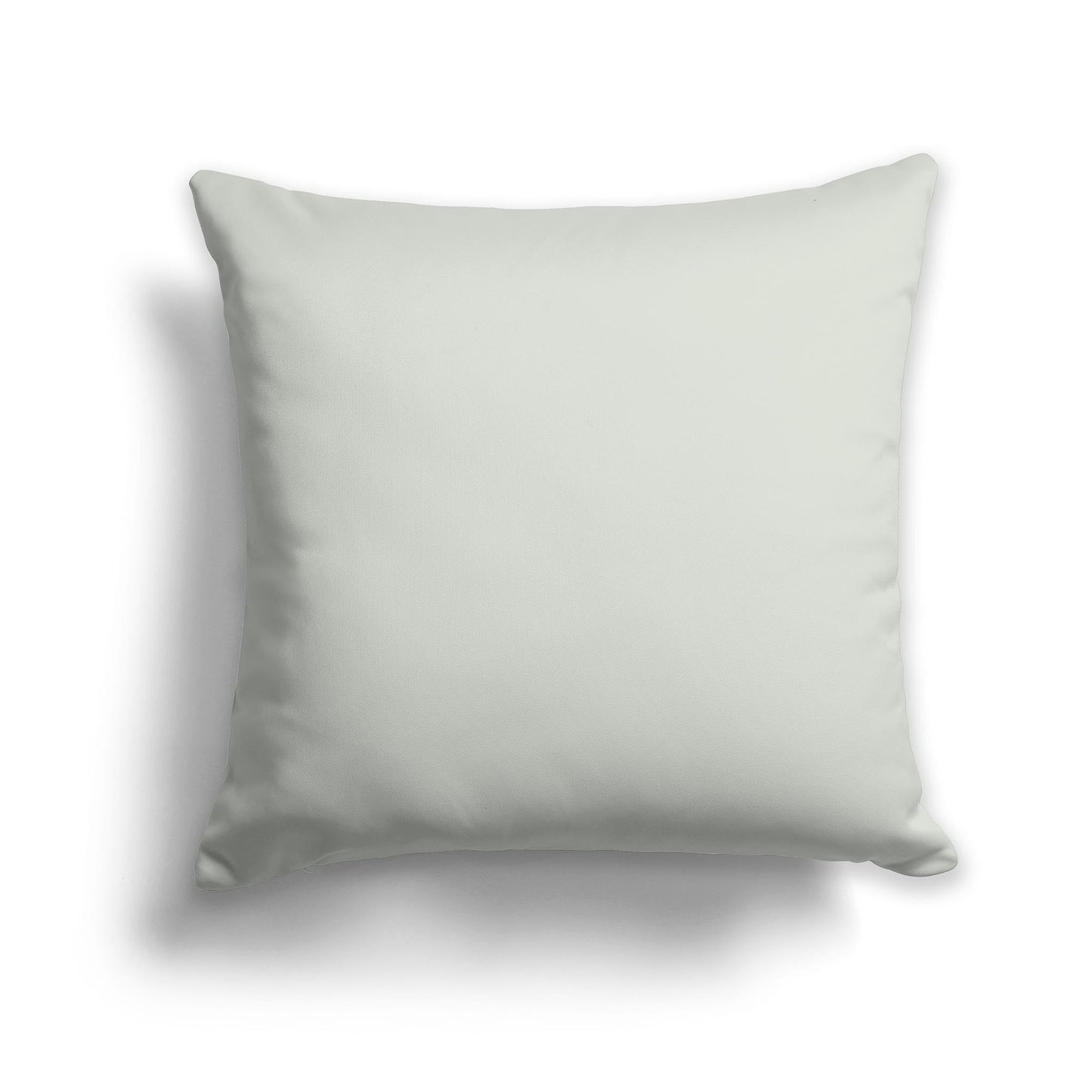 Solid Pale Green Throw Pillow, CAPC-1052-225