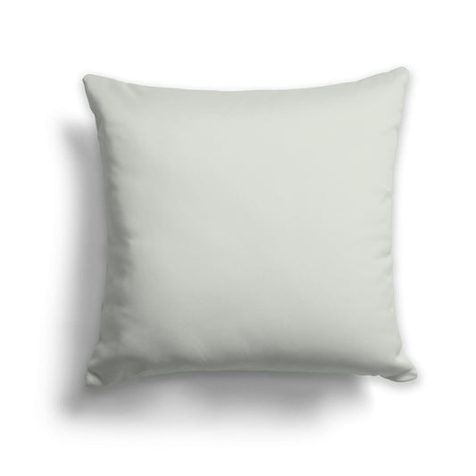 Solid Pale Green Throw Pillow, CAPC-1052-225