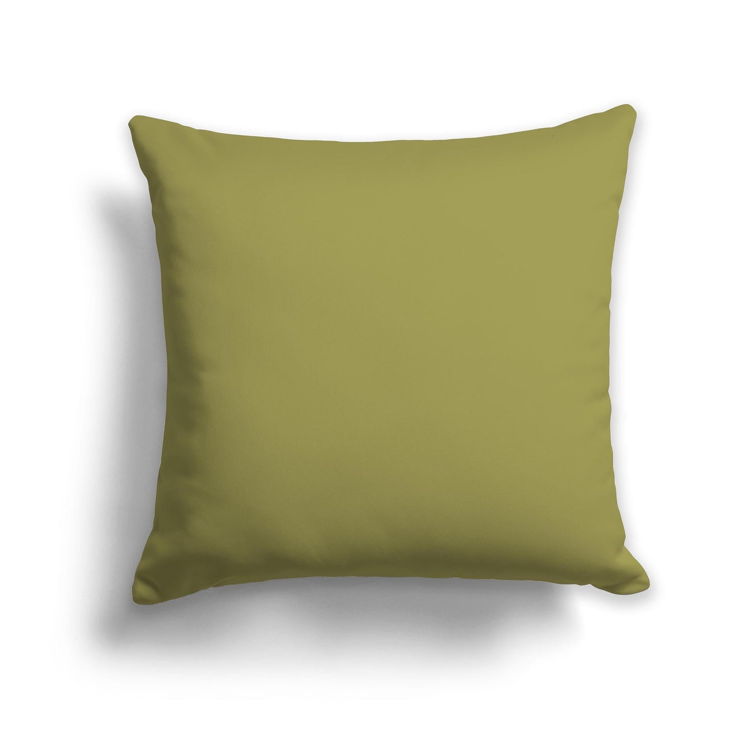 Solid Green Throw Pillow, CAPC-1142-400