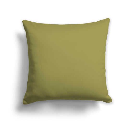 Solid Green Throw Pillow, CAPC-1142-400