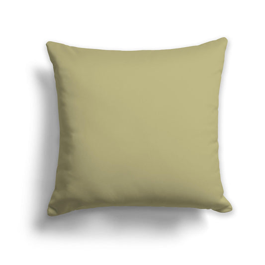 Solid Light Green Throw Pillow, CAPC-1142-467