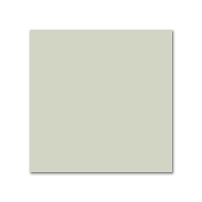 Pale Green Cotton Canvas Fabric | Swatch - 21 x 21 cm / 8 x 8 inches
