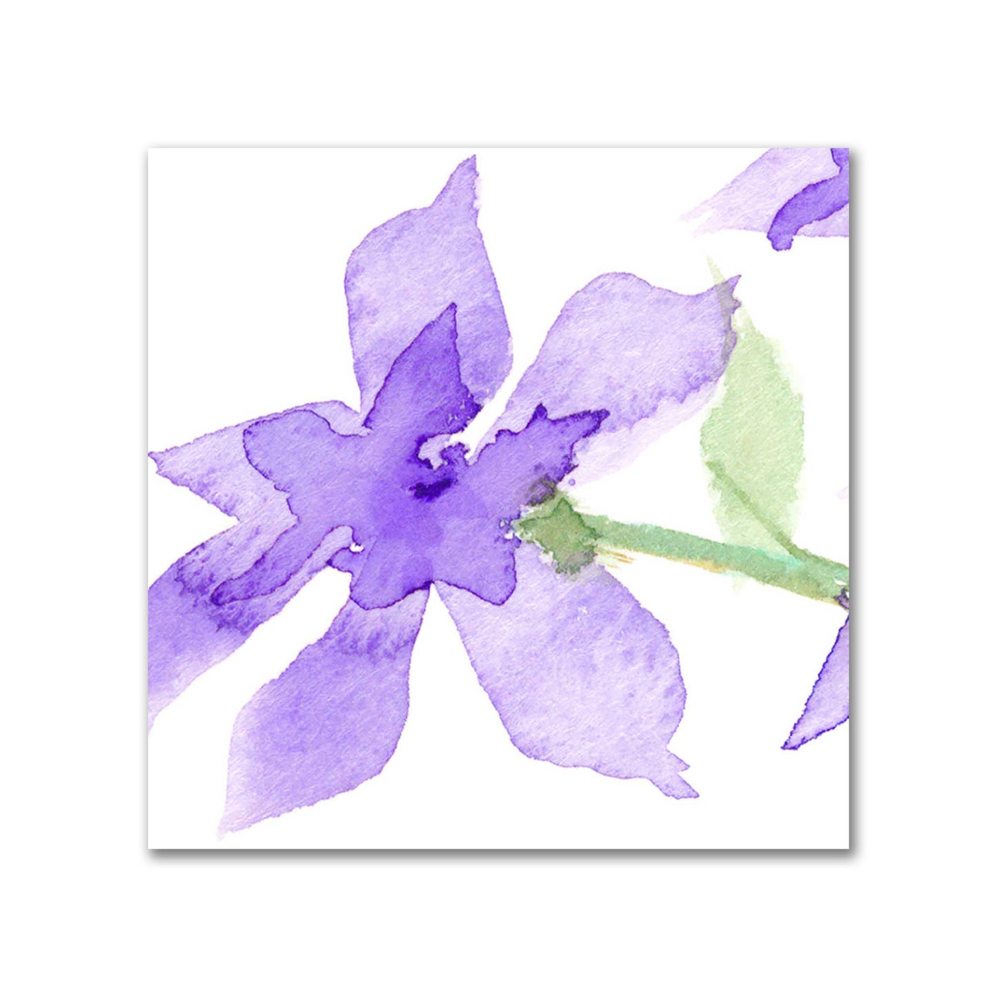 Cotton Sateen Fabric with Hand-painted Purple Watercolor Floral Print, FACS-1324
