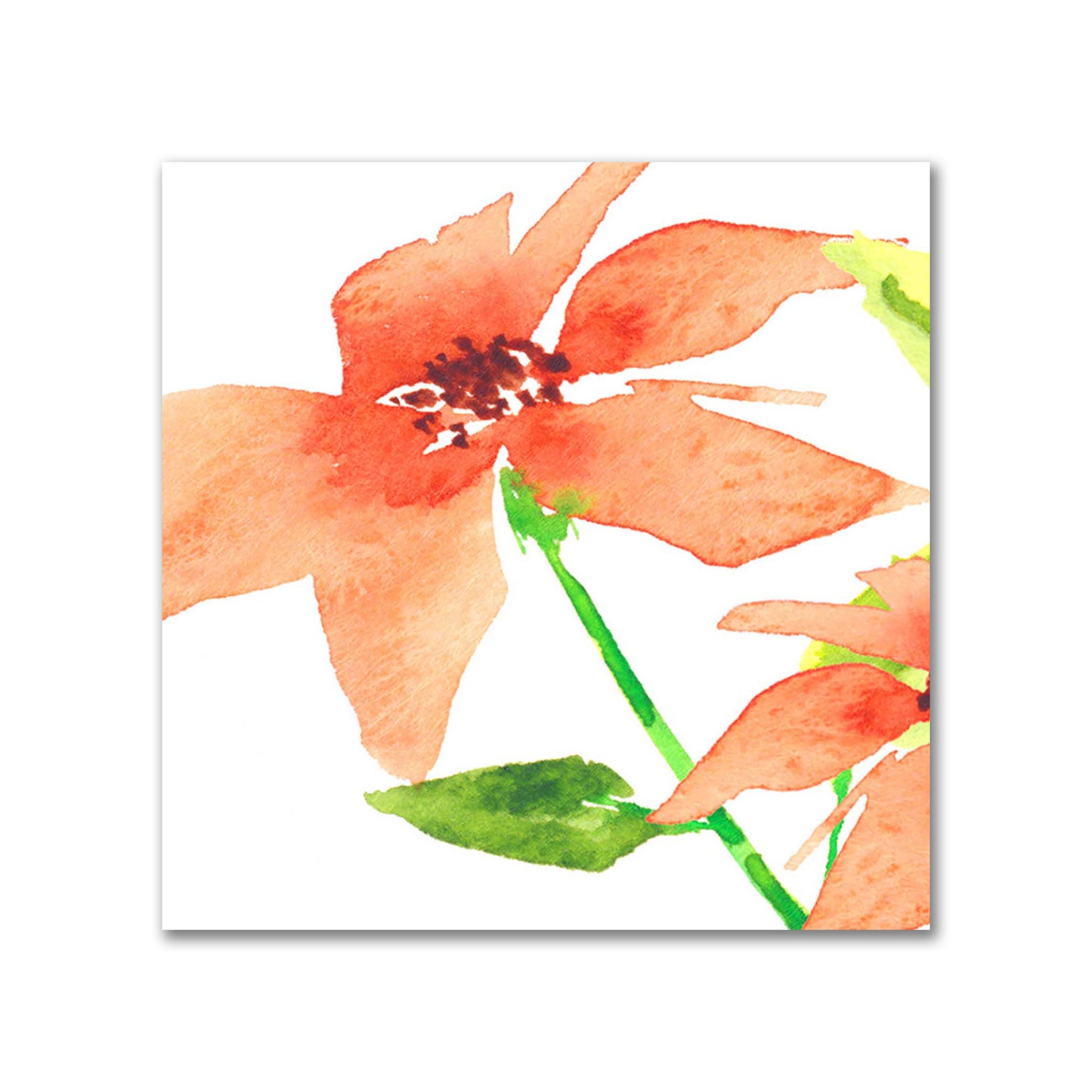 Cotton Sateen Fabric with Hand-painted Red Watercolor Floral Print, FACS-1384