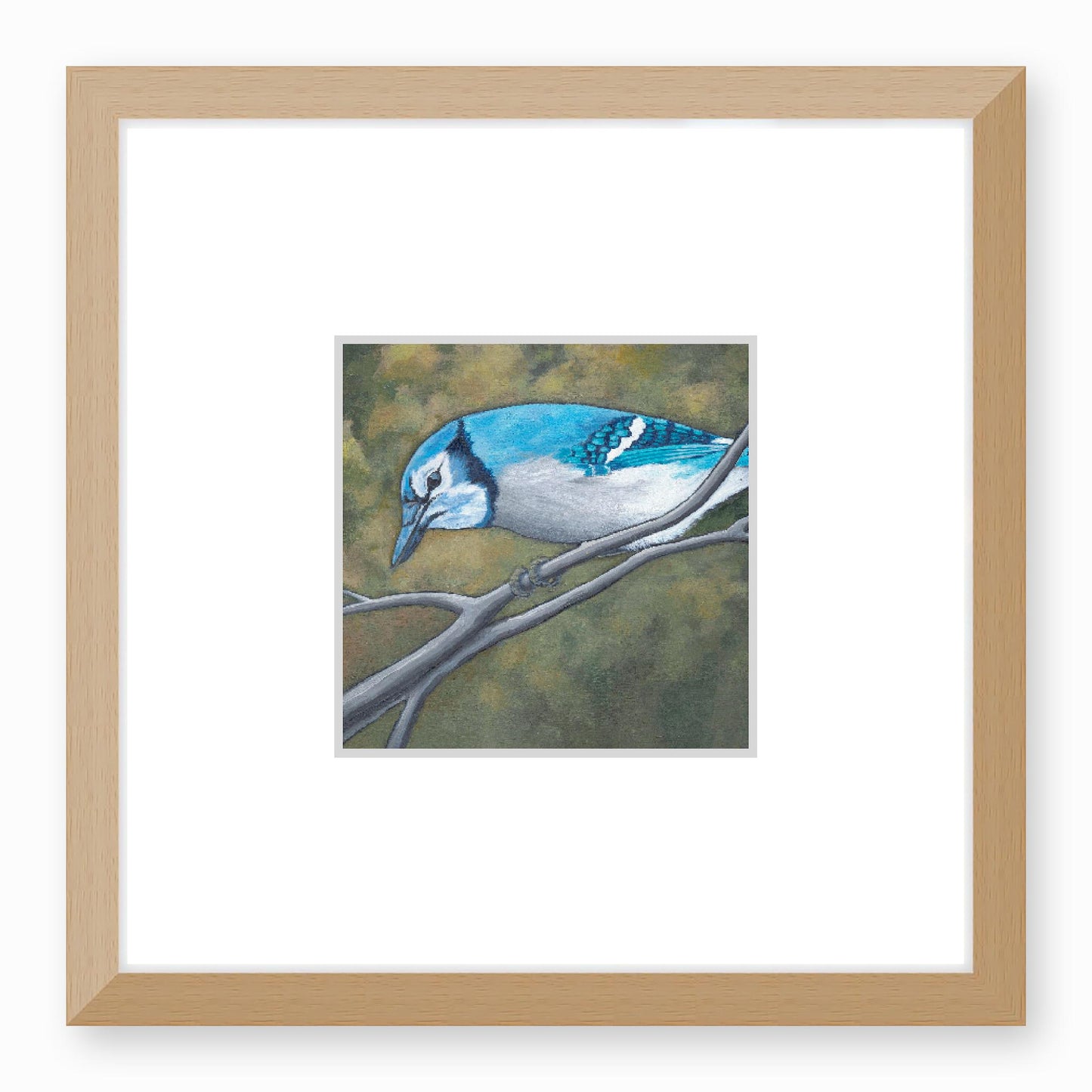 Framed Fine Art Print, Faux Mat - 12x12 inches | Blue Jay in Acrylic, FMS-1000-1148, Prints, Fine art, Natural Frame, 30 x 30 cm ,12 x 12 inches