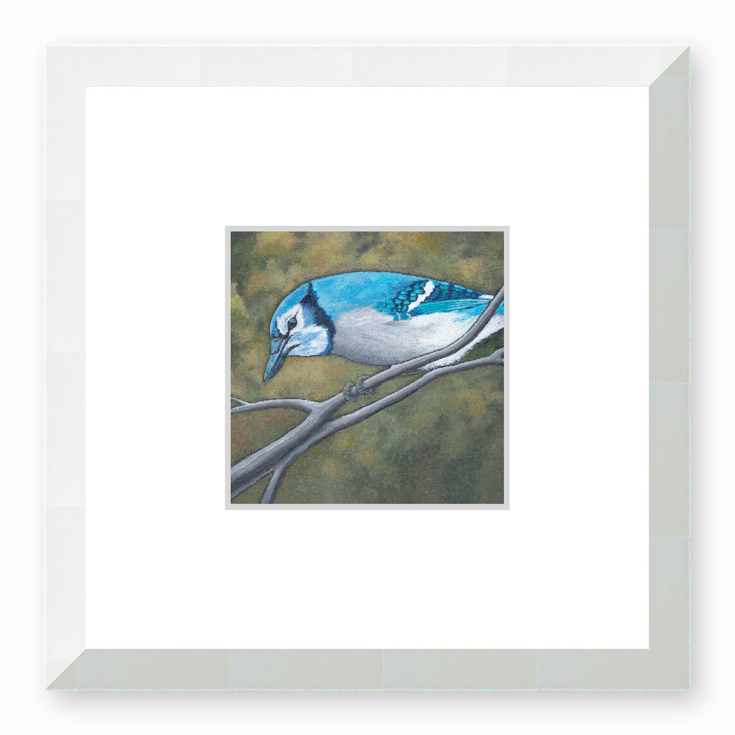 Framed Fine Art Print, Faux Mat - 12x12 inches | Blue Jay in Acrylic, FMS-1000-1148, Prints, Fine art, White Frame, 30 x 30 cm ,12 x 12 inches
