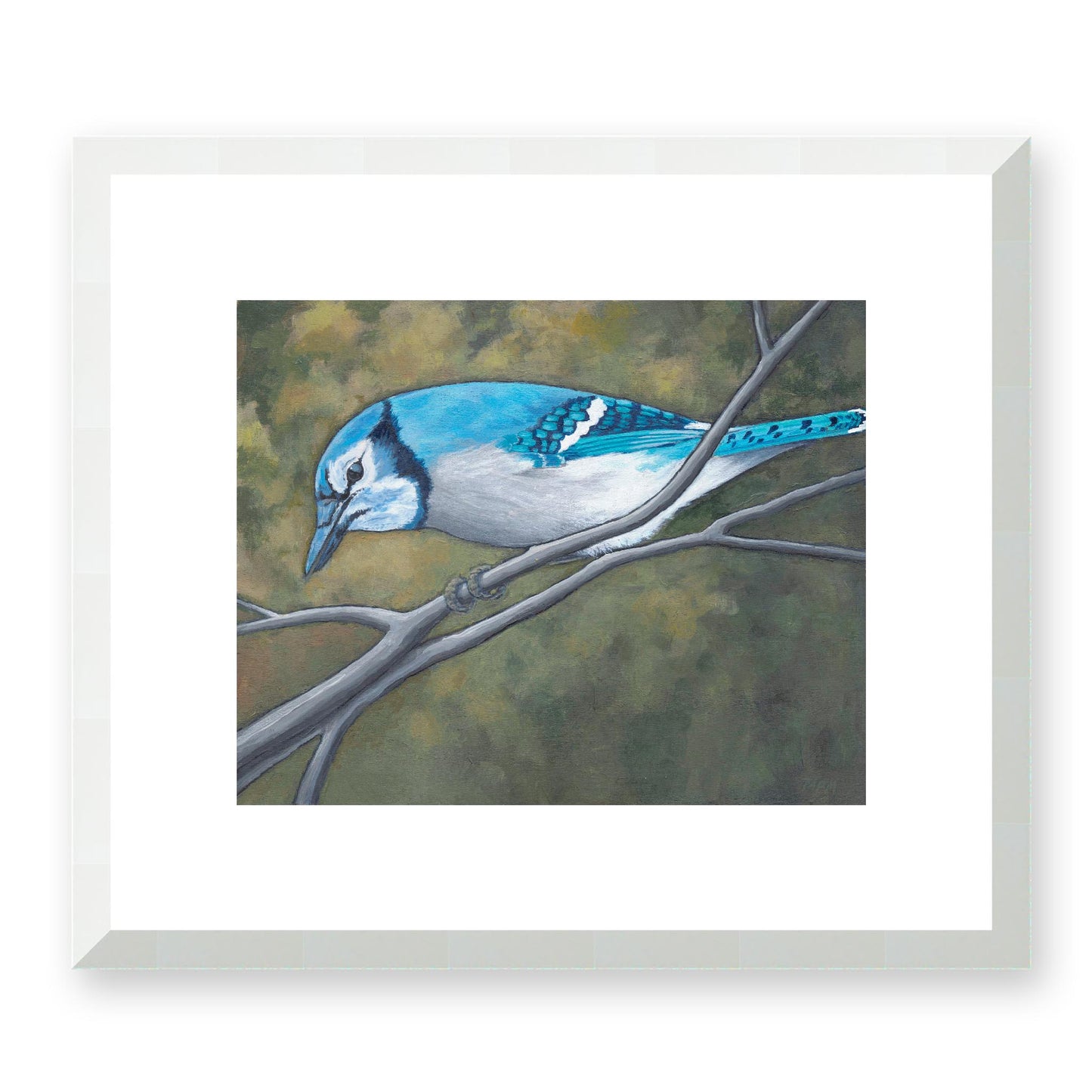 Framed Fine Art Print, White Mat - 14x12 19x16 24x20 29x24 34x28 inches | Blue Jay in Acrylic, FPH-1000-1148, Prints, Fine art, White Frame, 36 x 30 cm, 14 x 12 inches