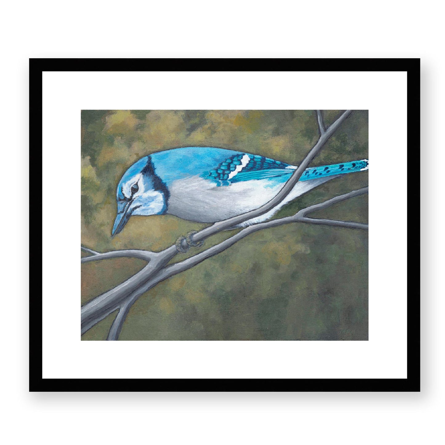 Framed Fine Art Print, White Mat - 14x12 19x16 24x20 29x24 34x28 inches | Blue Jay in Acrylic, FPH-1000-1148, Prints, Fine art, Black Frame, 48 x 41 cm, 19 x 16 inches