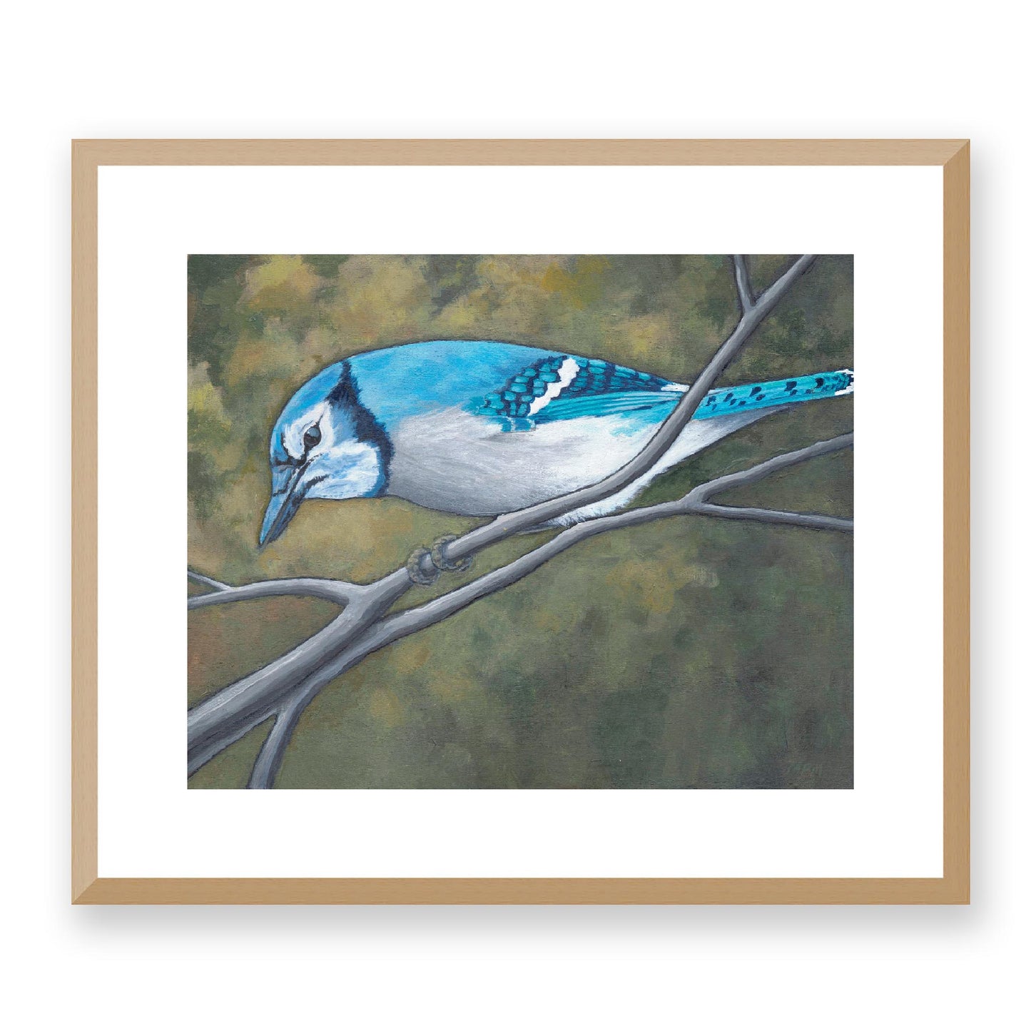 Framed Fine Art Print, White Mat - 14x12 19x16 24x20 29x24 34x28 inches | Blue Jay in Acrylic, FPH-1000-1148, Prints, Fine art, Natural Frame, 48 x 41 cm, 19 x 16 inches
