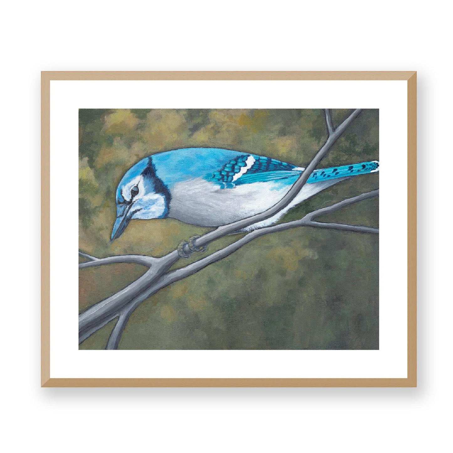 Framed Fine Art Print, White Mat - 14x12 19x16 24x20 29x24 34x28 inches | Blue Jay in Acrylic, FPH-1000-1148, Prints, Fine art, Natural Frame, 61 x 51 cm, 24 x 20 inches