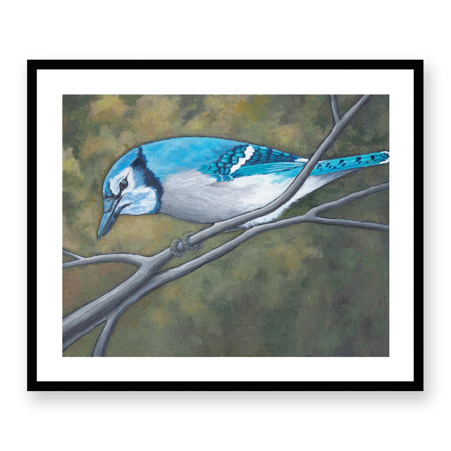Framed Fine Art Print, White Mat - 14x12 19x16 24x20 29x24 34x28 inches | Blue Jay in Acrylic, FPH-1000-1148, Prints, Fine art, Black Frame, 74 x 61 cm, 29 x 24 inches