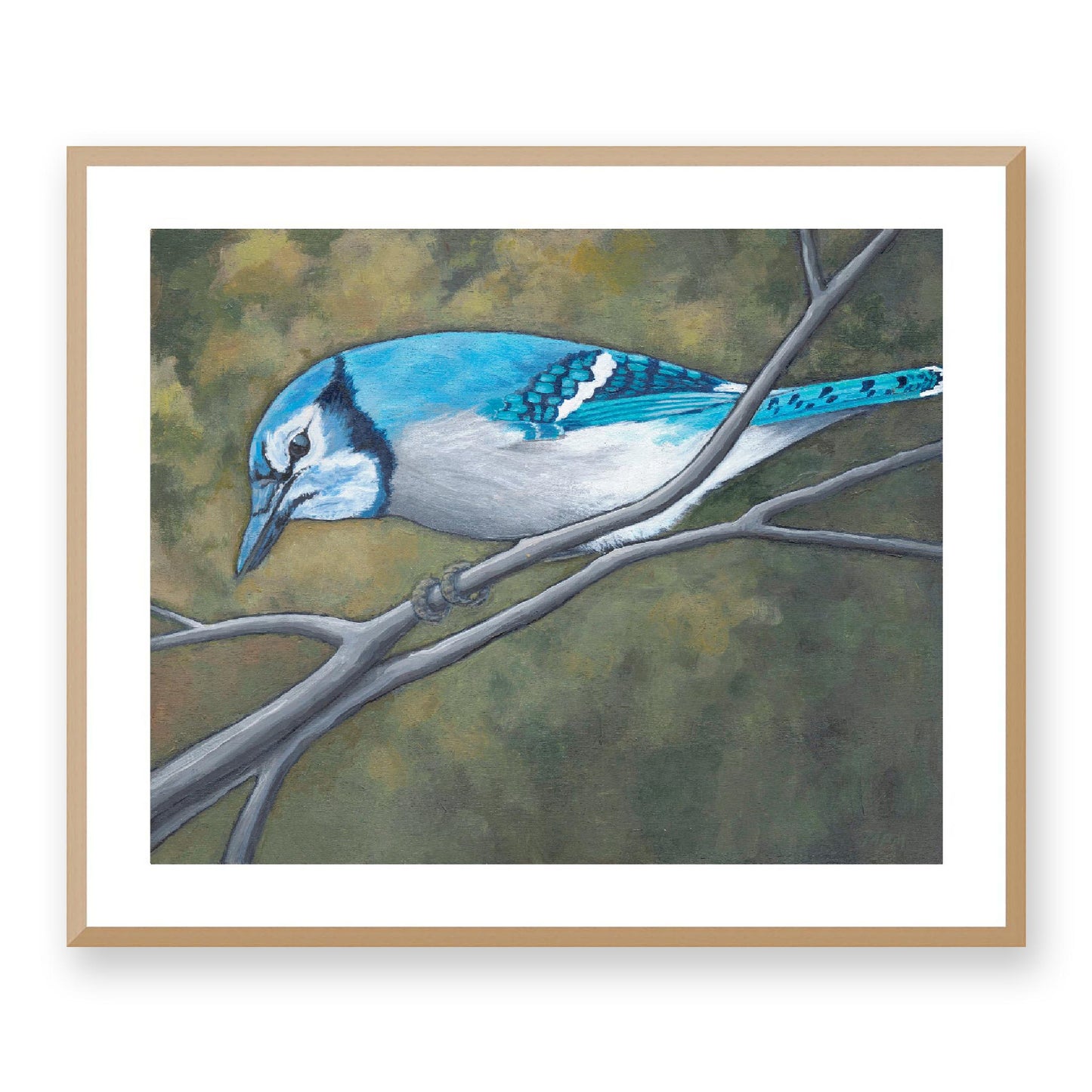 Framed Fine Art Print, White Mat - 14x12 19x16 24x20 29x24 34x28 inches | Blue Jay in Acrylic, FPH-1000-1148, Prints, Fine art, Natural Frame, 74 x 61 cm, 29 x 24 inches