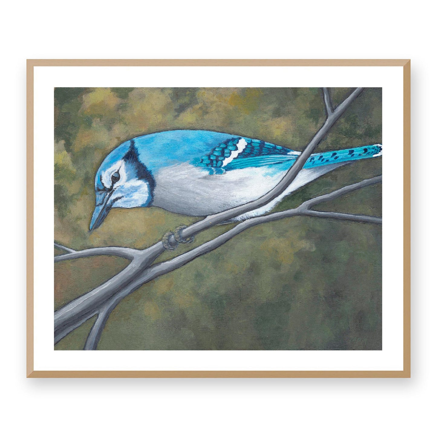 Framed Fine Art Print, White Mat - 14x12 19x16 24x20 29x24 34x28 inches | Blue Jay in Acrylic, FPH-1000-1148, Prints, Fine art, Natural Frame, 86 x 71 cm, 34 x 28 inches