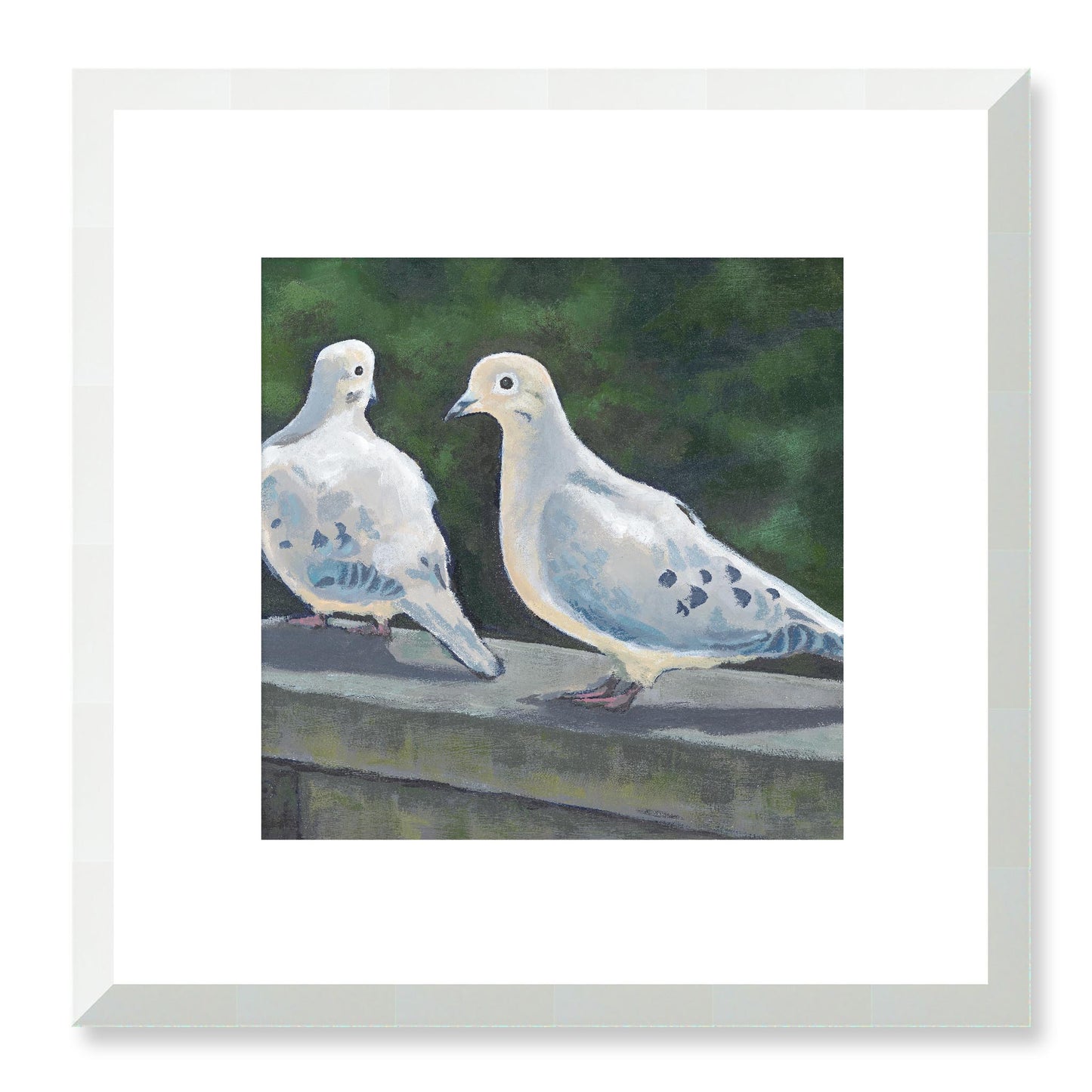 Framed Fine Art Print, White Mat - 12x12 16x16 20x20 24x24 28x28 32x32 36x36 40x40 inches | Mourning Doves in Acrylic, FPS-1000-1125, Prints, Fine art, White Frame, 30 x 30 cm ,12 x 12 inches