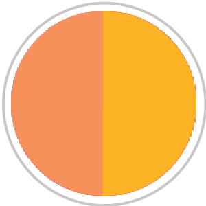 Yellow / Orange Floral