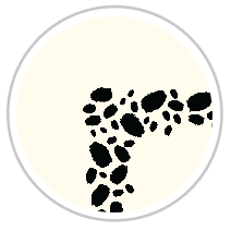Paint Dabs Frieze Print in Black & Pale Cream