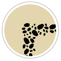 Paint Dabs Frieze Print in Black & Tan