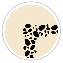 Paint Dabs Frieze Print in Black & Beige