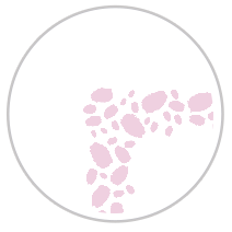 Paint Dabs Frieze Print in Pink & White