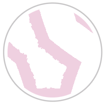 Labyrinth Print  in Pink & White