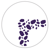 Paint Dabs Frieze Print in Purple & White