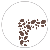 Paint Dabs Frieze Print in Brown & White