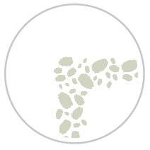 Paint Dabs Frieze Print in Pale Green & White