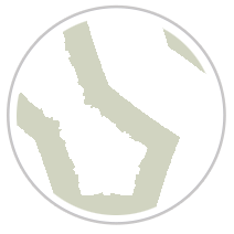 Labyrinth Print  in Pale Green & White