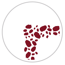 Paint Dabs Frieze Print in Burgundy & White