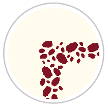 Paint Dabs Frieze Print in Burgundy & Pale Cream