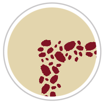 Paint Dabs Frieze Print in Burgundy & Tan