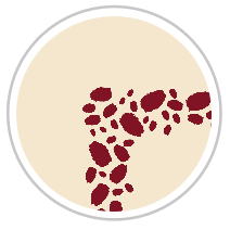 Paint Dabs Frieze Print in Burgundy & Beige