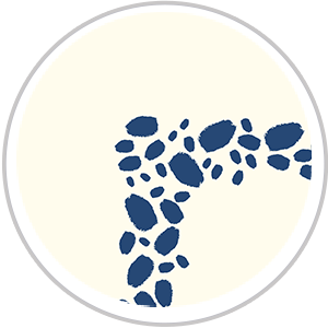 Paint Dabs Frieze Print in Royal Blue & Pale Cream