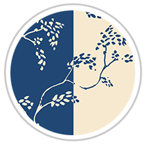 Vine Print in Royal Blue & Beige