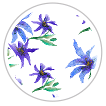 Indigo Bloom — Large Floral Print