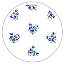 Indigo Bloom — Medium Floral Pattern