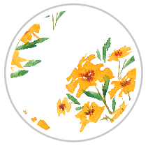 Saffron Garden — Large Floral Print