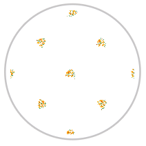 Saffron Garden — Small Floral Pattern