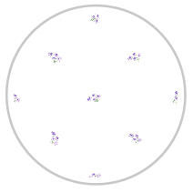 Soft Purple Bloom — Small Floral Pattern