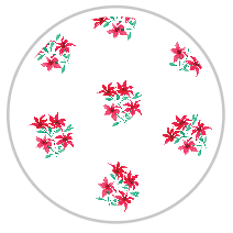 Scarlet Bloom — Medium Floral Pattern