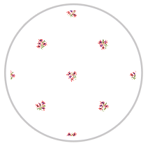 Coral Bloom — Small Floral Pattern