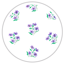 Purple Bloom — Medium Floral Pattern