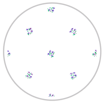Purple Bloom — Small Floral Pattern