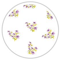 Mauve Bloom — Medium Floral Pattern