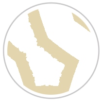 Labyrinth Print  in Tan & White