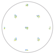 Aqua Bloom — Small Floral Pattern