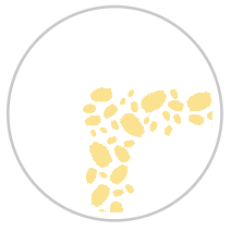 Paint Dabs Frieze Print in Yellow & White