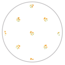 Citrine Bloom — Small Floral Pattern